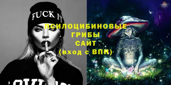 ECSTASY Пестово