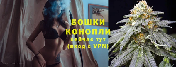 ALPHA PVP Осташков