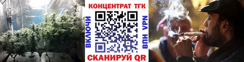 площадка Telegram  закладка  Чехов  ТГК Wax 